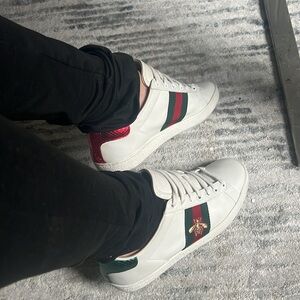 SOLD 🤩✨Gucci tennis shoes Ace bee size 38  fit US 9